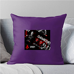 Astralis Group is publicly traded Astralis Pillows Cover