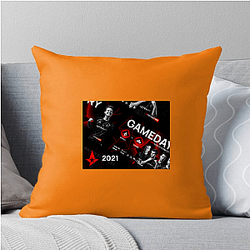Astralis Group is publicly traded Astralis Pillows Cover