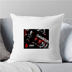 Astralis Group is publicly traded Astralis Pillows Cover