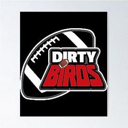 Art Atlanta Falcons Poster