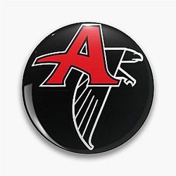 Atlanta Falcons Pin