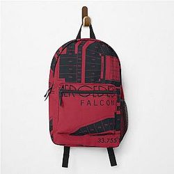 Atlanta Falcons Stadium