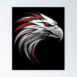Art Atlanta Falcons Poster