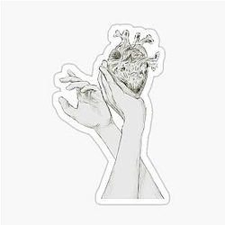 Aurora What Happened to the Heart Sticker