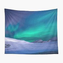 Northern lights Alaska Aurora borealis winter snow green blue sky Tapestry