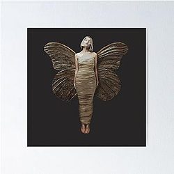 Aurora Moth