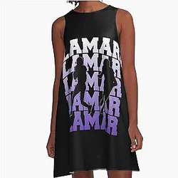 Art Baltimore Ravens A-Line Dress