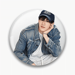 Bang Chan Protectors Stay family Bang Chan Pins