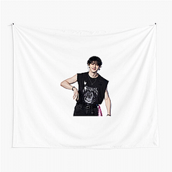 Bang Chan Abs Visual power Bang Chan Tapestries