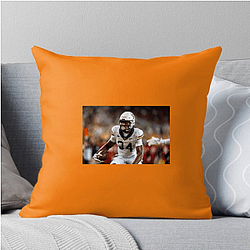Baylor Bears Merch For Fans Baylor Bears Pillows Cover