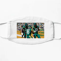 Baylor Bears Fan Art Baylor Bears Face Masks