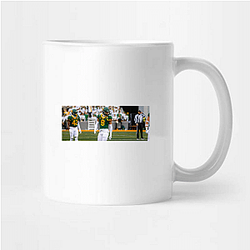 Baylor Bears Special Collection Baylor Bears Mugs