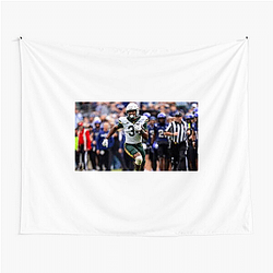 Baylor Bears Merch Collection Baylor Bears Tapestries