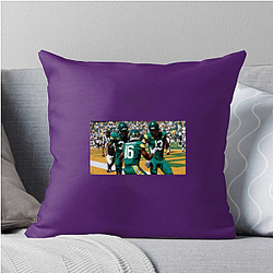 Baylor Bears Fan Art Baylor Bears Pillows Cover