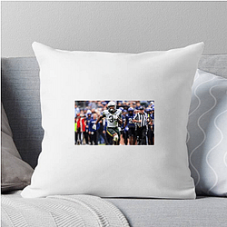 Baylor Bears Merch Collection Baylor Bears Pillows Cover