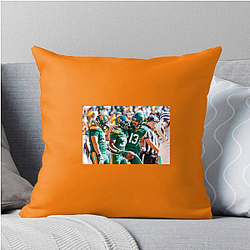 Baylor Bears Limited Collection Baylor Bears Pillows Cover