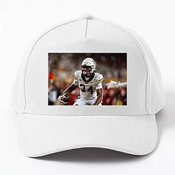 Baylor Bears Merch For Fans Baylor Bears Hats & Caps
