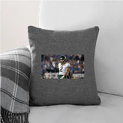 Baylor Bears Signature Baylor Bears Pillows Cover