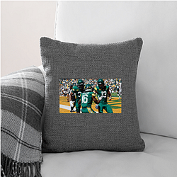 Baylor Bears Fan Art Baylor Bears Pillows Cover