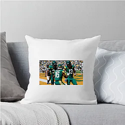 Baylor Bears Fan Art Baylor Bears Pillows Cover