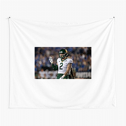 Baylor Bears Signature Baylor Bears Tapestries