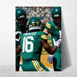 Baylor Bears Fan Art Baylor Bears Posters