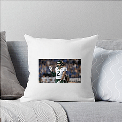 Baylor Bears Signature Baylor Bears Pillows Cover