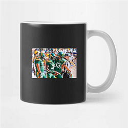 Baylor Bears Limited Collection Baylor Bears Mugs