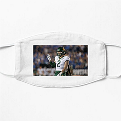 Baylor Bears Signature Baylor Bears Face Masks