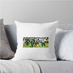 Baylor Bears Merch Baylor Bears Pillows Cover