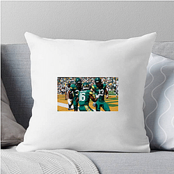 Baylor Bears Fan Art Baylor Bears Pillows Cover
