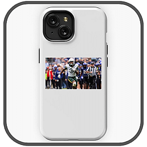 Baylor Bears Cases