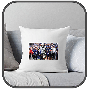 Baylor Bears Pillows Cover