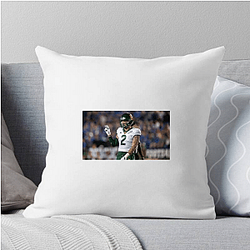Baylor Bears Signature Baylor Bears Pillows Cover