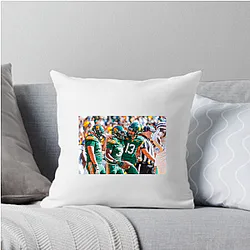 Baylor Bears Limited Collection Baylor Bears Pillows Cover