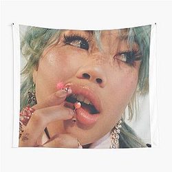 Beabadoobee poster Tapestry