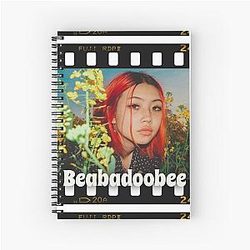 Beabadoobee Spiral Notebook