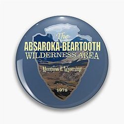 Absaroka-Beartooth Wilderness Pin
