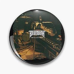 Art - Beartooth Pin