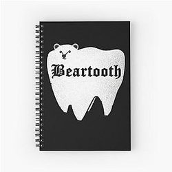 Art Spiral Notebook