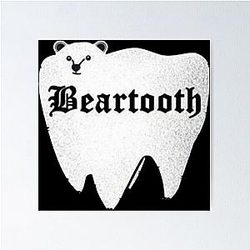Art Beartooth Poster
