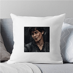 Bellamy Blake Special Collection Bellamy Blake Pillows Cover