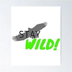 STAY WILD BEN AZELART Poster