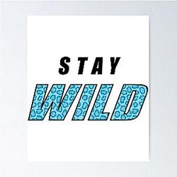 Ben Azelart Merch Stay Wild Poster