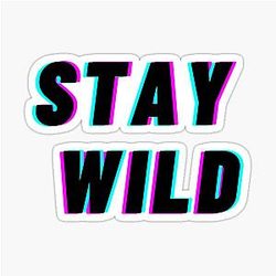 Stay Wild ben Azelart sticker