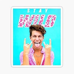 Ben Azelart Stay Wild Fire Sticker