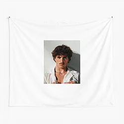 Benson Boone is very popular Benson Boone Tapestries