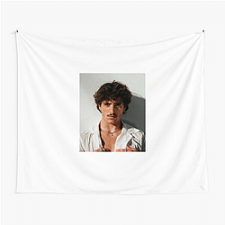 Benson Boone is known for his genuine lyrics Benson Boone Tapestries