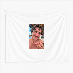 Benson Boone quickly gained popularity on TikTok Benson Boone Tapestries