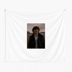 Benson Boone is an American singer songwriter Benson Boone Tapestries